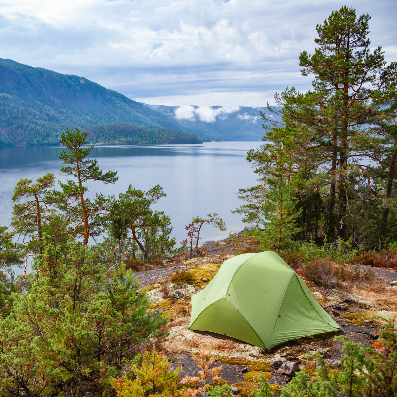 Picking the perfect&nbsp;site