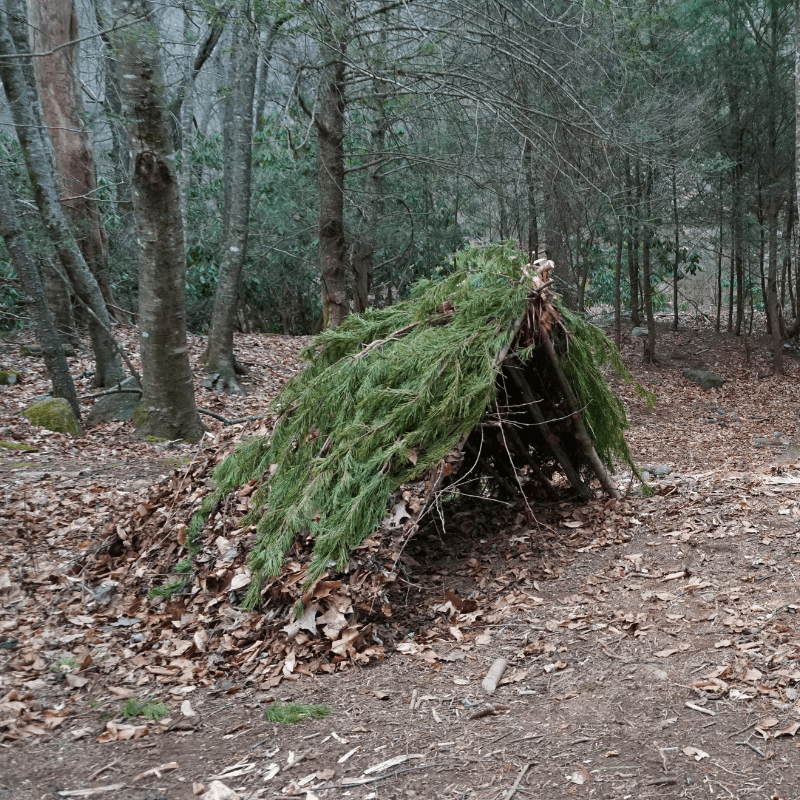 Shelter is step&nbsp;1